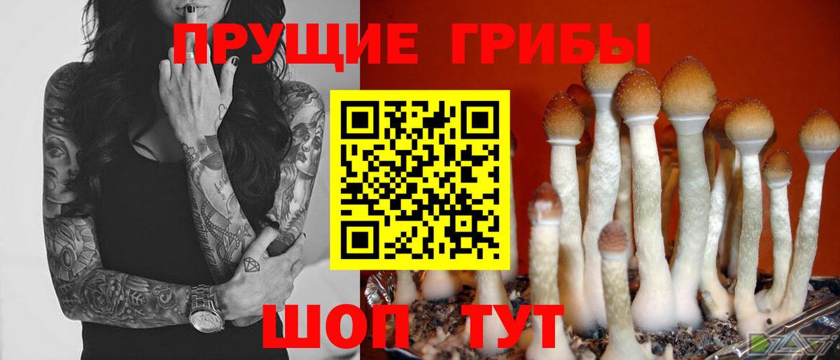 Псилоцибиновые грибы GOLDEN TEACHER Лабинск