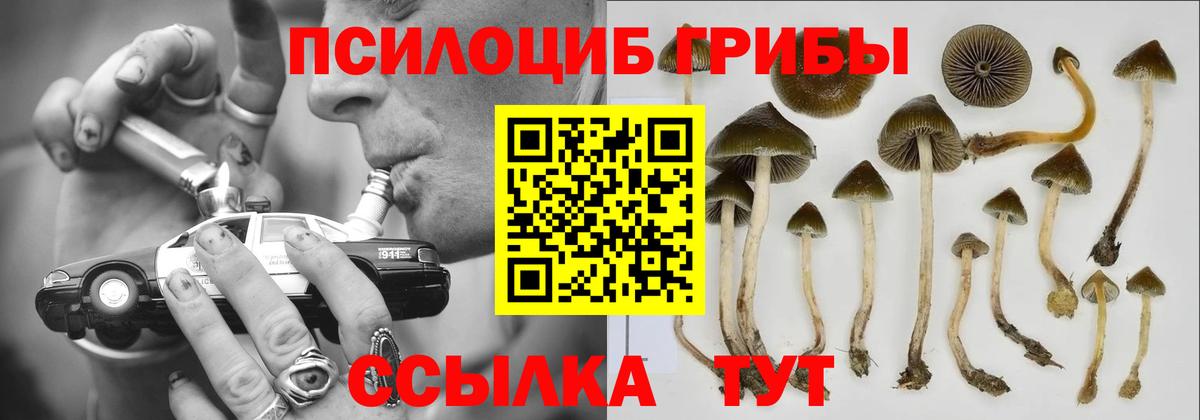 Лабинск  Галлюциногенные грибы мицелий  Вход с VPN 